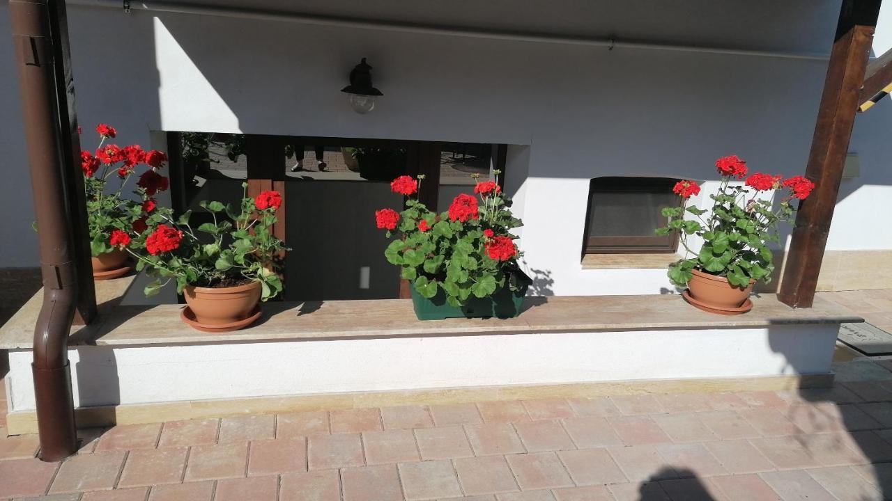 Ana Boutique Alba Iulia Exterior foto